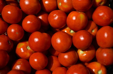 Background of ripe juicy tomatoes lying in sunny weather.