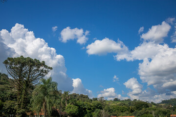 Obraz premium clouds over the forest