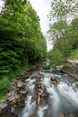Obraz premium Valira del Orient river in Cami Ral La Massana in summer in Andorra