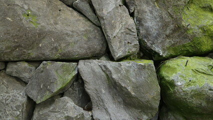 rock and moss background material