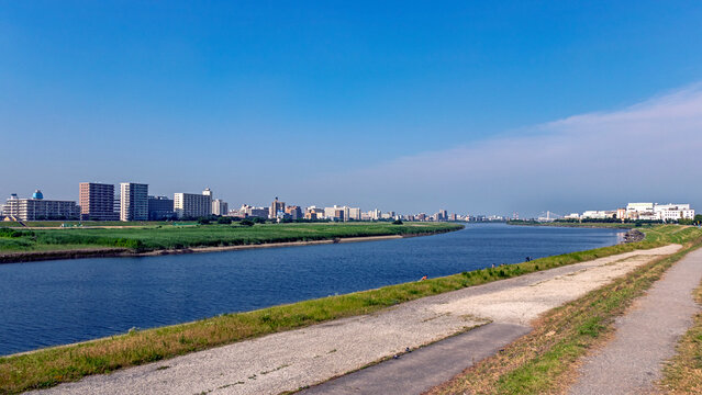 多摩川土手