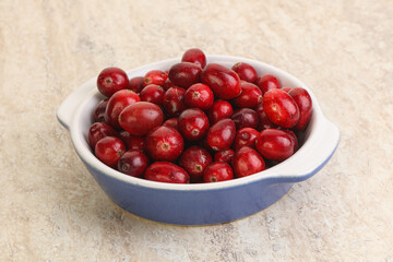 Ripe sweet tasty cranberry in the bowl