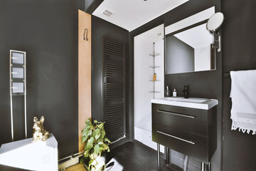 Interior of contemporary bathroom with shower and sink in minimal style in flat