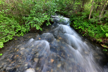 Obraz premium Alaska's Russian River begins as a glacier-fed lake high in the mountains on the Kenai Peninsula.
