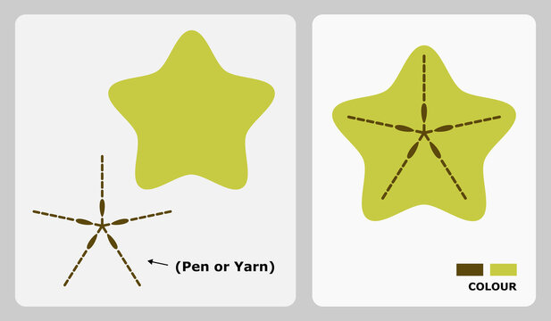 Star fruit felt pattern for kids crafts or paper crafts. Vector illustration of star fruit puzzle. cut and glue patterns for children's crafts.