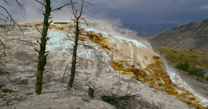 Steam landscape at Yellowstone Park.