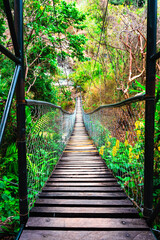 Obraz premium Wooden suspension bridge in nature