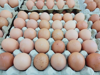 Organic eggs in paper boxes for sale in the market