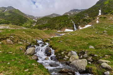 Mountain river in the early summer