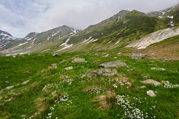 Fototapeta na wymiar Mountain peaks and snow in the summer