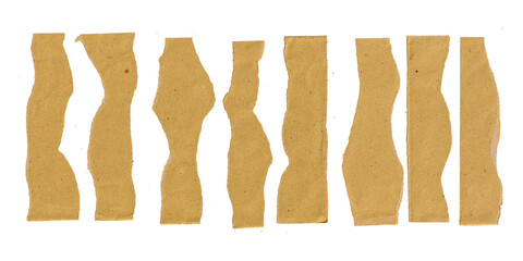 set of torn paper edges design element. collection of seamless vertical ripped paper