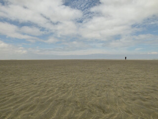 Fototapeta na wymiar person walking on the beach horizon