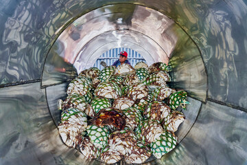 Man piling agave in oven ready to steam it