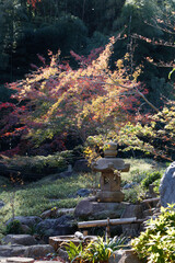 竹の水道管から流れ落ちる音が心地よい日本庭園