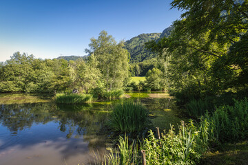 Etang avec arbres et montagne