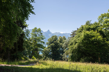 Obraz premium parc de toute beauté, le château de Hünegg,