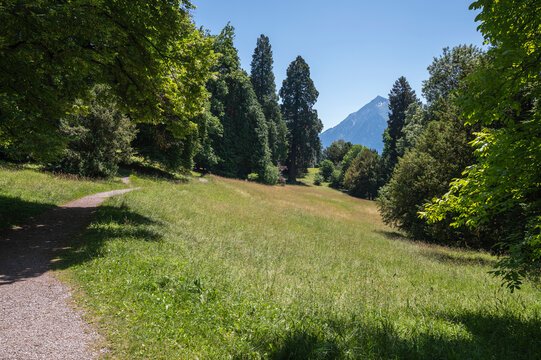 Hünegg Bilder Durchsuchen 21 Archivfotos, und Videos