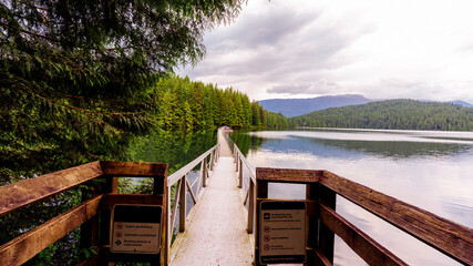 Fir trees reflected in tranquil waters of Sasamat Lake, Belcarra, BC, near lake traverse bridge...