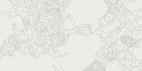 Abstract topographic contours map background. Vector geographic contour map. topography map background. White wave paper curved reliefs abstract background. 
