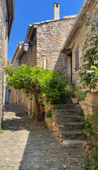 Minerve, cité historique, haut-lieu cathare d'Occitane en Languedoc-Roussillon : village, ruelles, remparts, canyon, colombe
