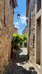 Minerve, cité historique, haut-lieu cathare d'Occitane en Languedoc-Roussillon : village, ruelles, remparts, canyon, colombe