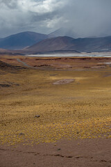 Desierto
desert
atacama
