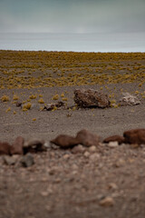Desierto
desert
atacama
