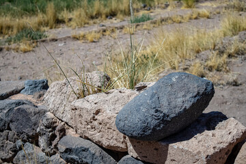 Desierto
desert
atacama
