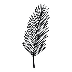 Simple tropical leaf illustration. Hand drawn vector clipart. Botanical doodle for print, web, design, decor, logo.
