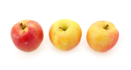 Yellow apples on white