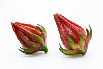 Roselle fruit isolated on white background.
