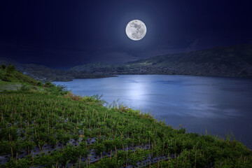 Fototapeta premium view of the mountains and lake