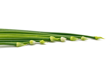 Obraz premium Fresh garlic chives close up over on white background.
