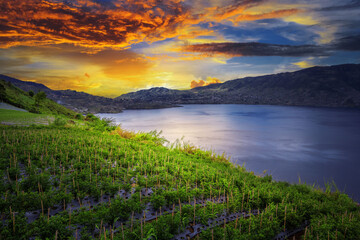 view of the mountains and lake