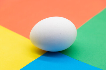 single white chicken egg isolated on colorful background