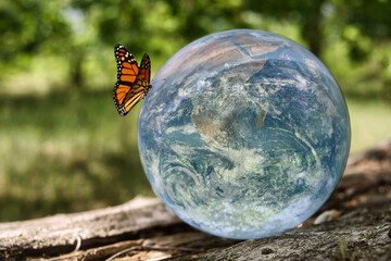 Planet - Erde - Natur - Ecology - Lensball - High quality photo - Bioeconomy -  A crystal globe on the wooden surface surrounded by nature with a monarch butterfly perched on it