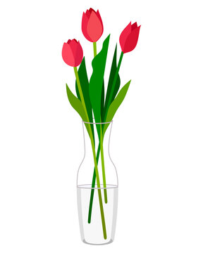 Vector image of a tulip in a glass vase in a flat style, isolated on a white background. Flowers on March 8. Holidays