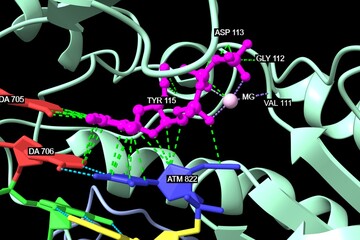 Structure of HIV-1 reverse transcriptase with DNA and AZTTP (magenta), with the interacting residues labeled. 3D cartoon model, PDB 3v4i, black background