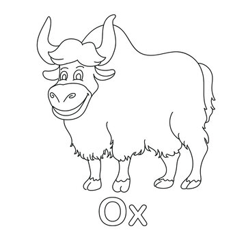 Ox coloring page line art animal vector