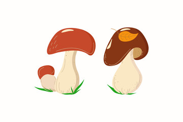 White mushrooms. Doodle color drawings. Types of forest mushrooms. Organic food. Edible mushroom. Vector illustration on an isolated background.