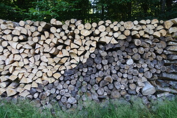 Harvester/Holz/Wald
