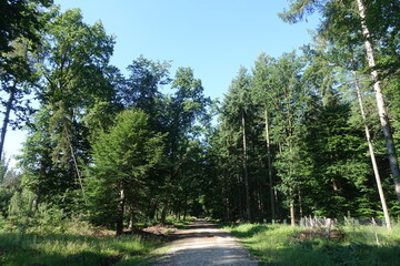 Brandkapelle in 86653 Monheim