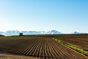 畝と小さな小屋