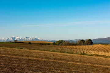 種蒔きを待つ畝