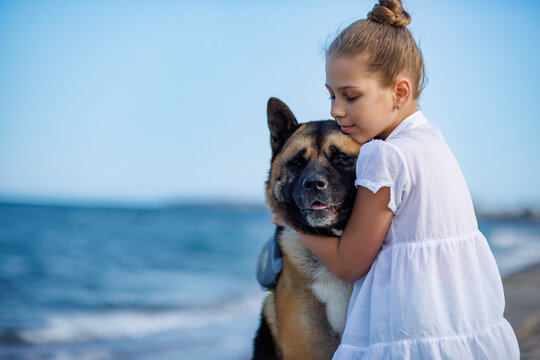 Teenage girl in light clothes hugs and loves dog friend of Akita Inu breed on beach near Black Sea in warm sunny weather