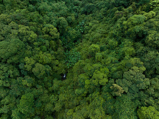 Naklejka premium Aerial view of beautiful forest mountain landscape