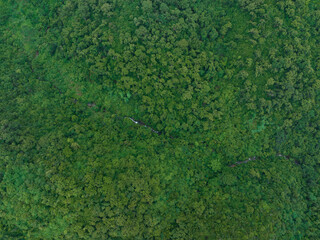 Aerial view of beautiful forest mountain landscape