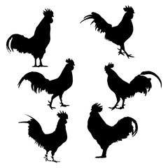 Rooster Isolated Silhouette Vector Illustration