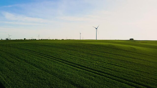 Large green agricultural field with growing wheat and farm of windmills generator turbines. Concept of work in agronomic farm and production organic food