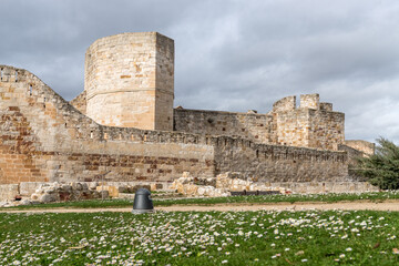View of the castle of Zamora with flowers in the foreground. Castilla y Leon, Spain